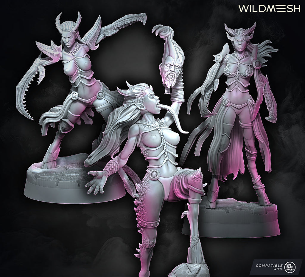 Chaos Excess: Succubus Set I
