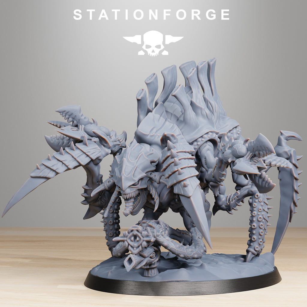 Xenarid: Tygorthon