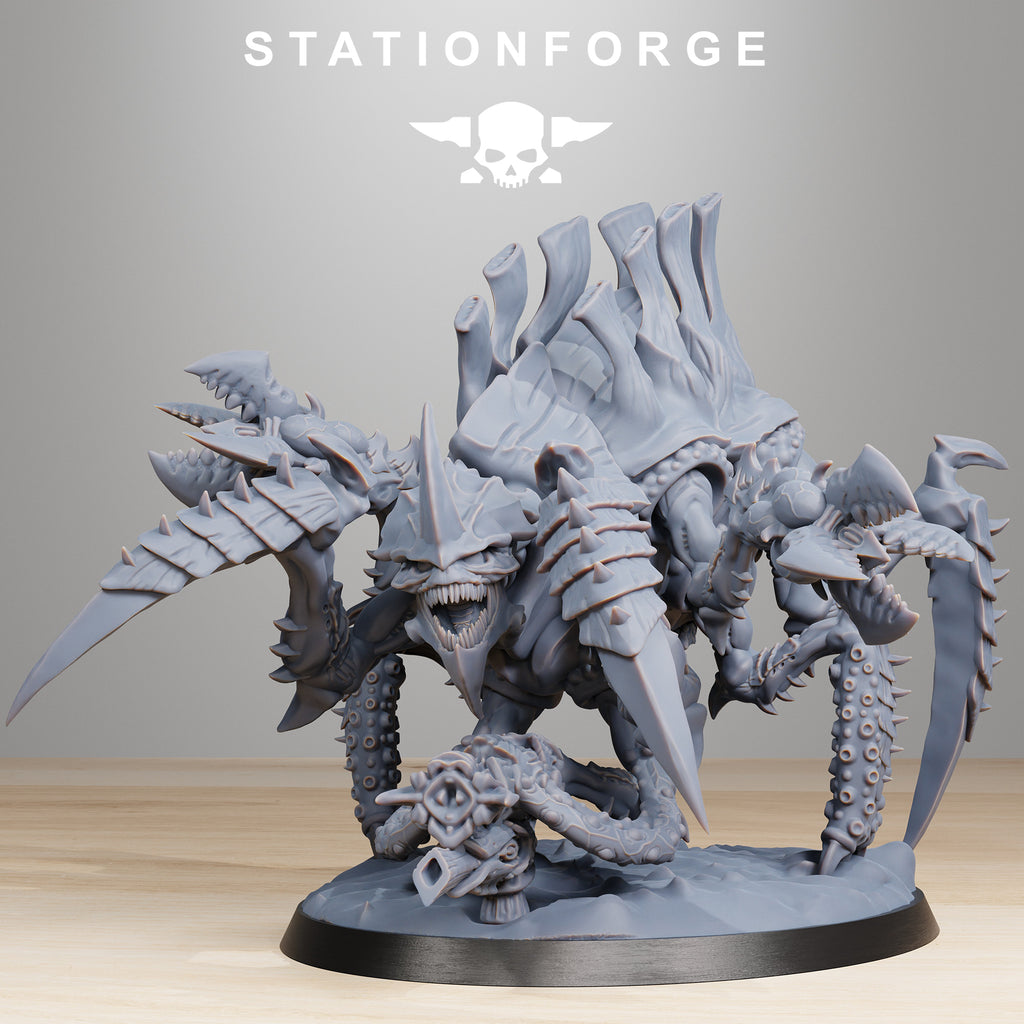 Xenarid: Tygorthon