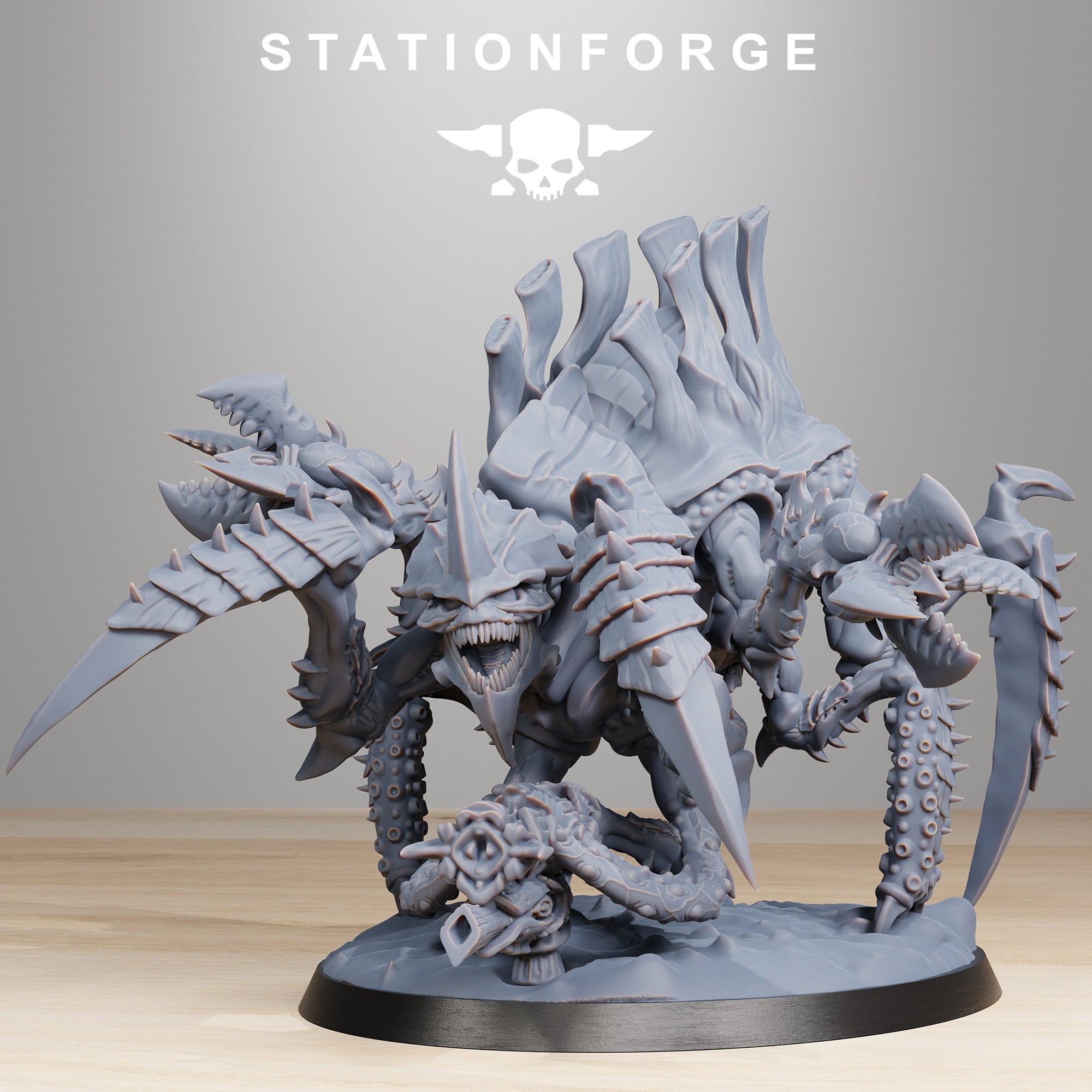 Xenarid: Tygorthon