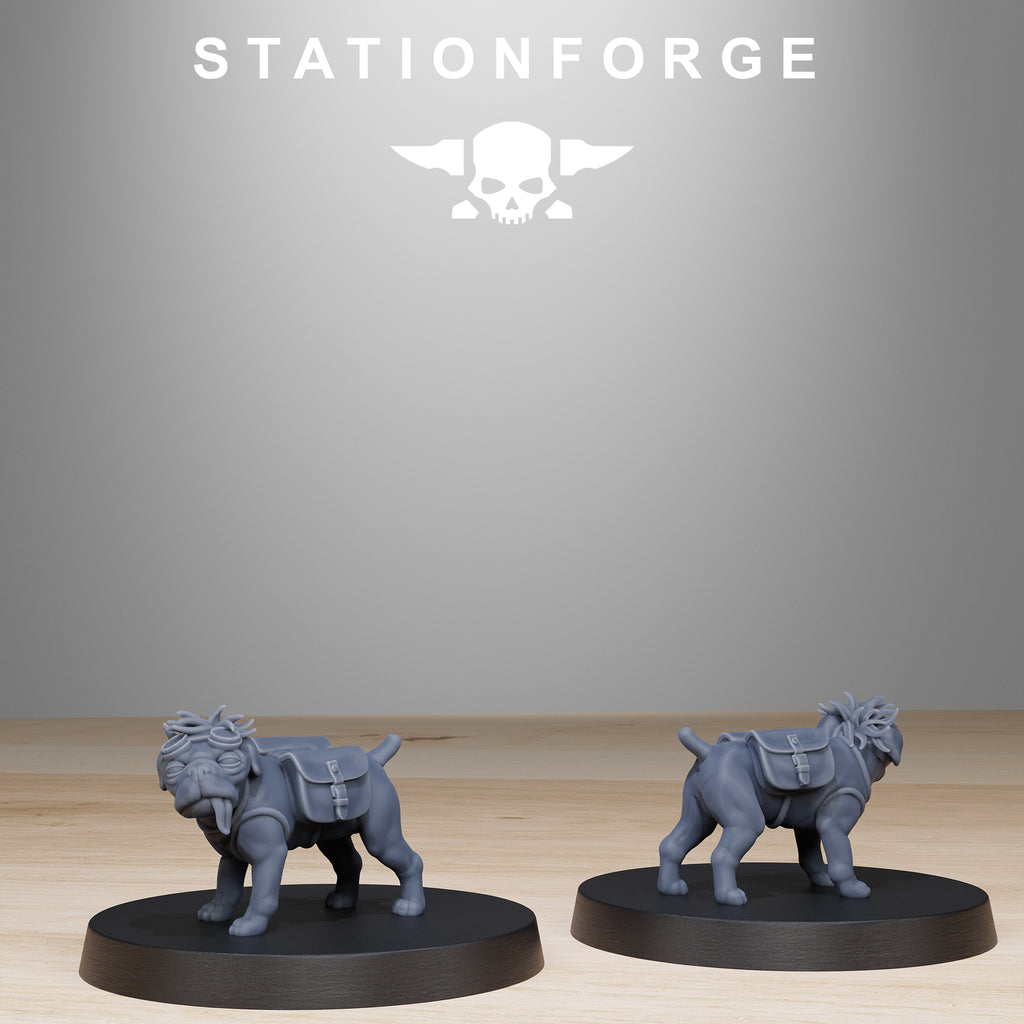 Grimguard: Skulldart Trappers