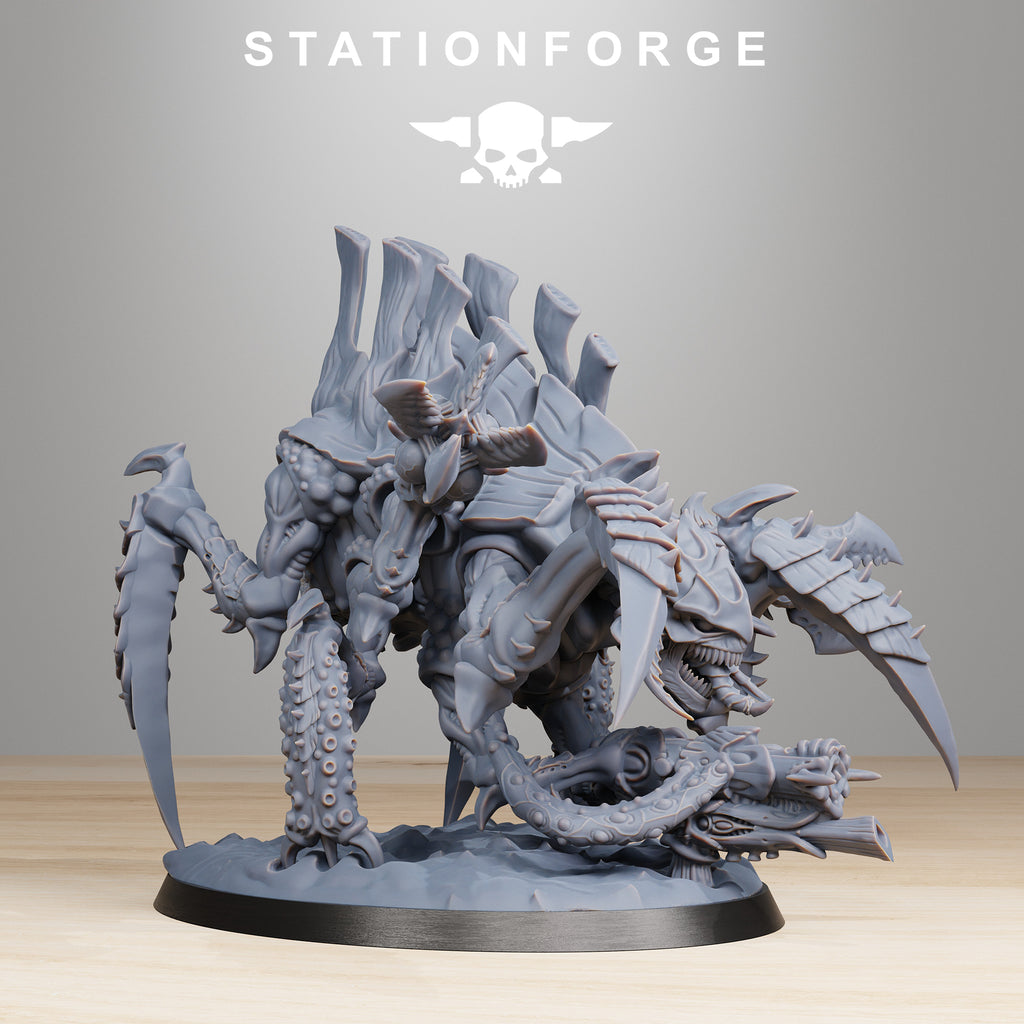 Xenarid: Tygorthon
