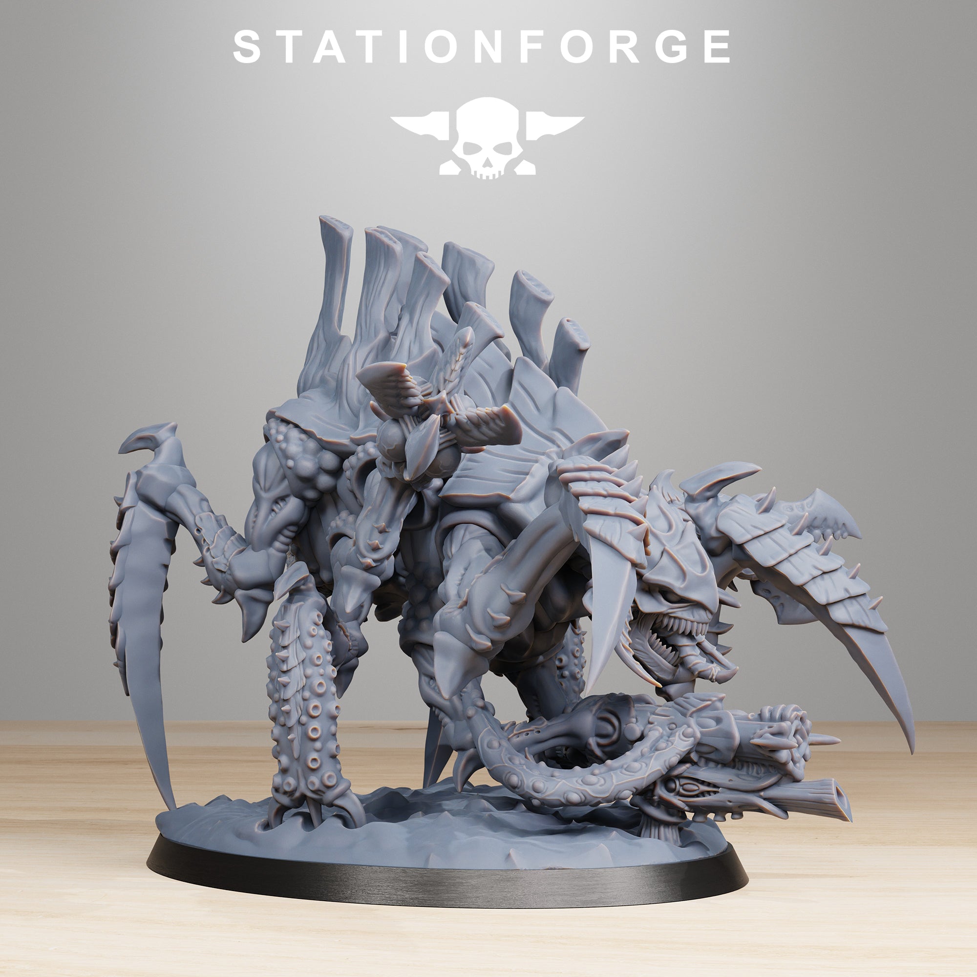Xenarid: Tygorthon