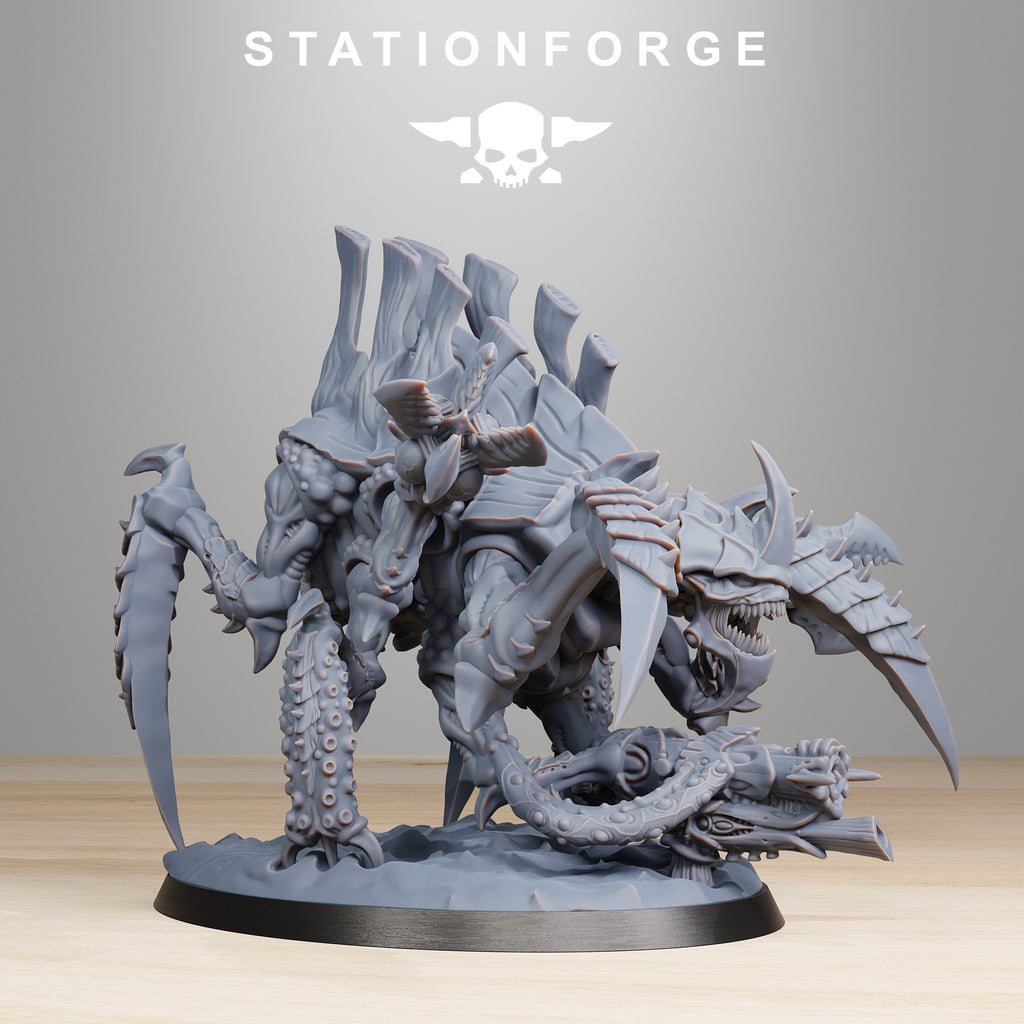 Xenarid: Tygorthon