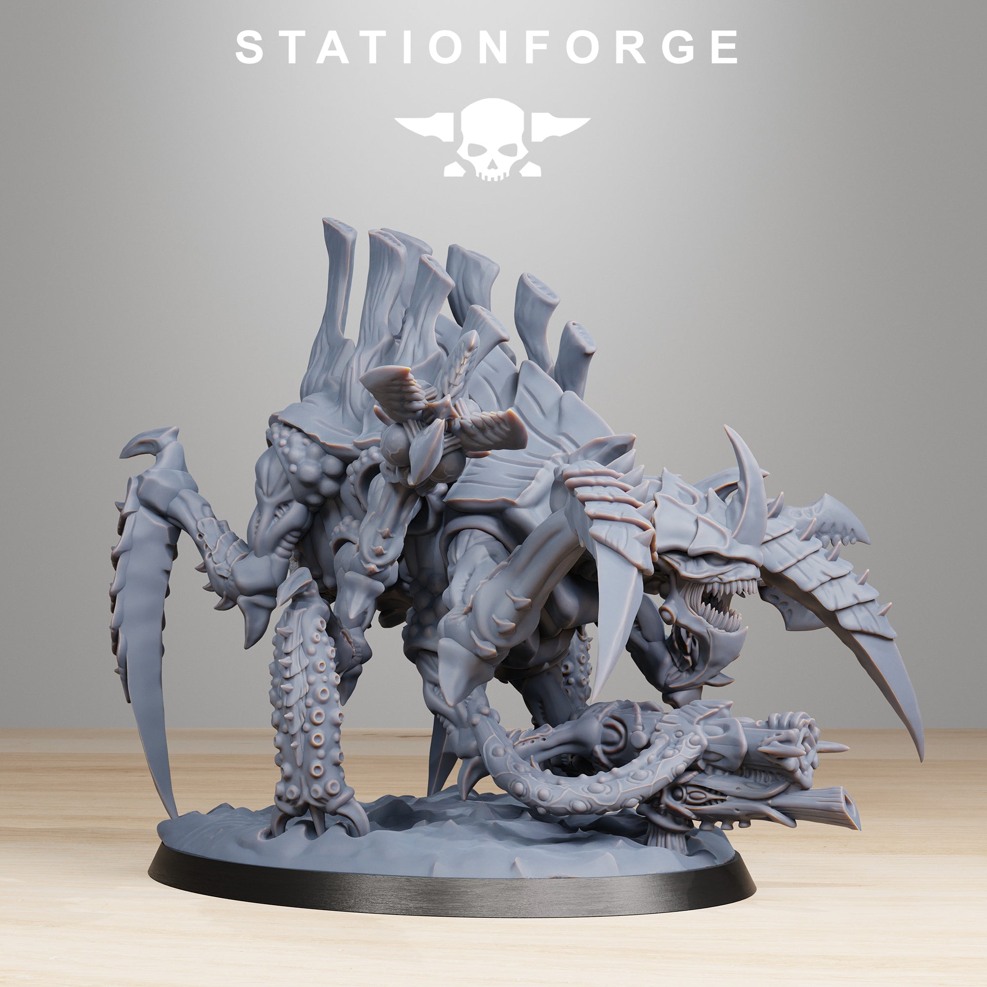 Xenarid: Tygorthon