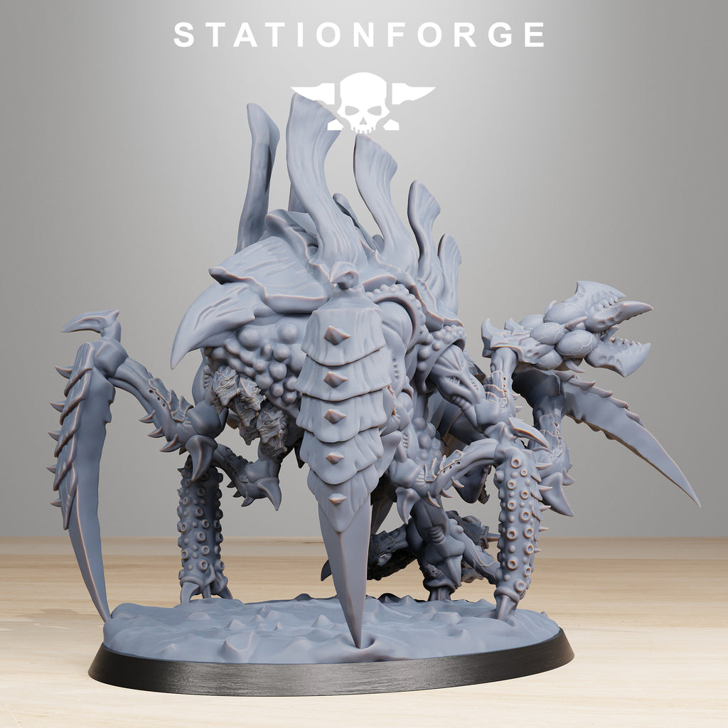 Xenarid: Tygorthon
