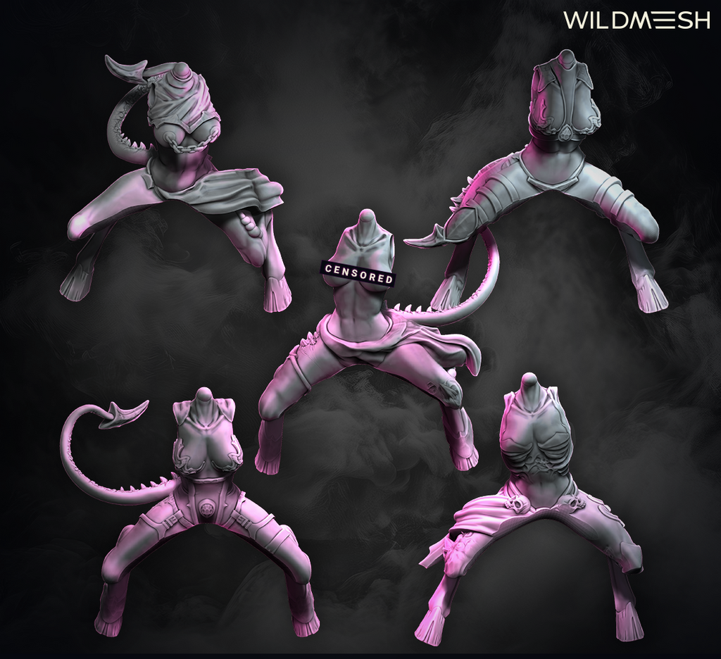 Chaos Excess: Succubus Riders