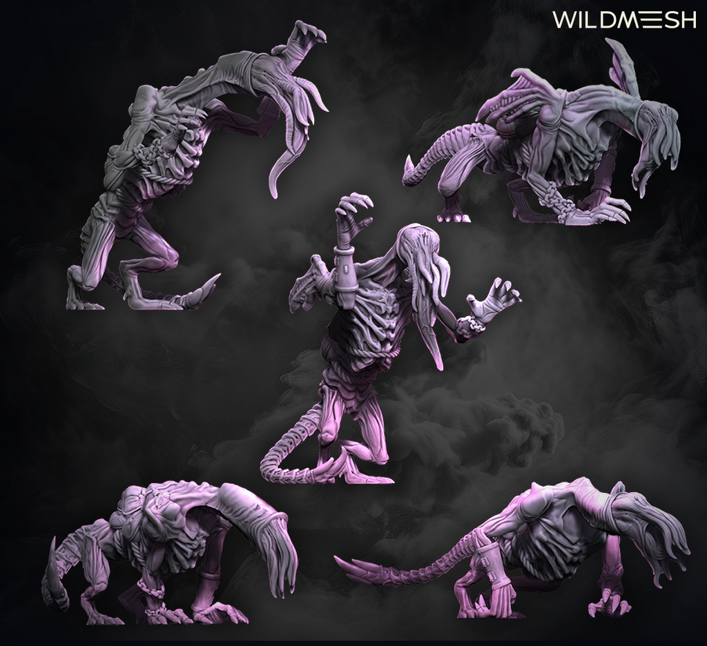 Chaos Excess: Succubus Riders