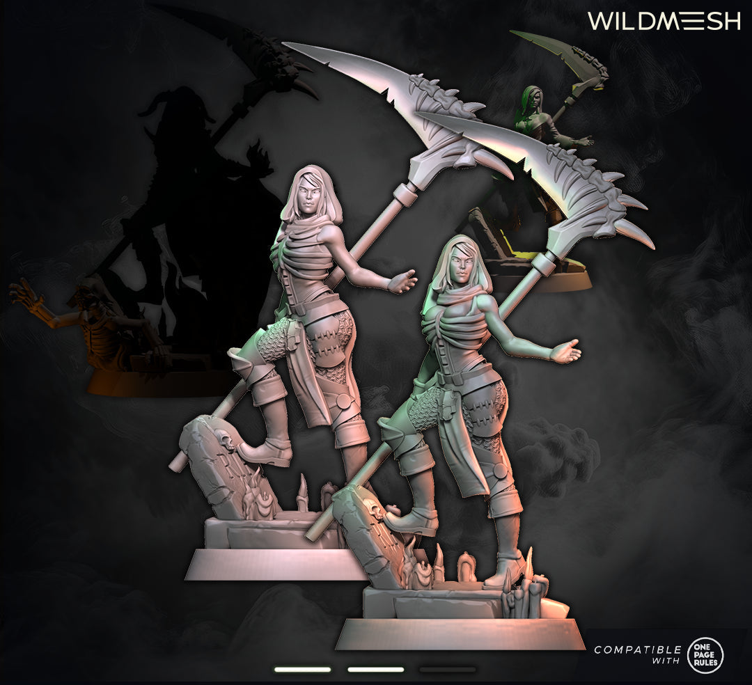 Fantasy: Necromancer Level 10