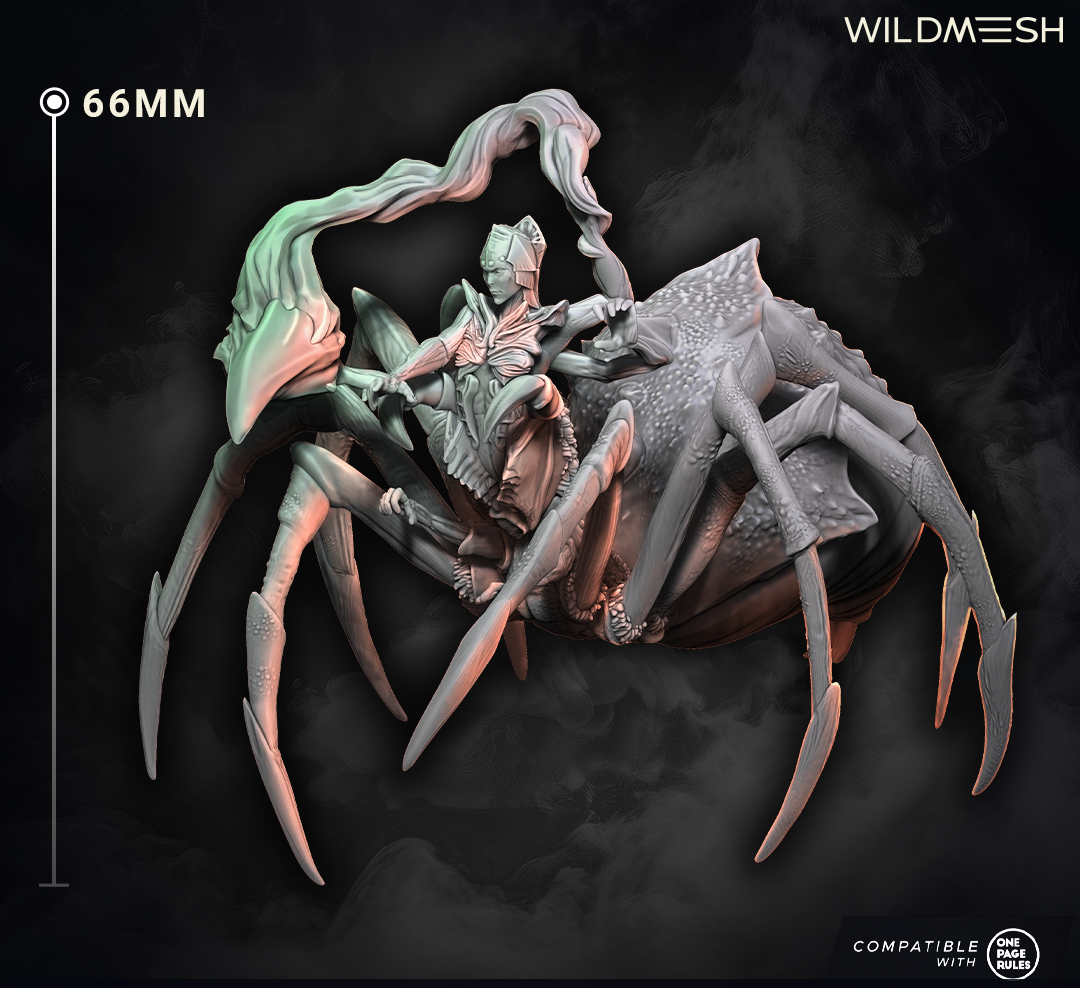 Fantasy: Spider Warlock