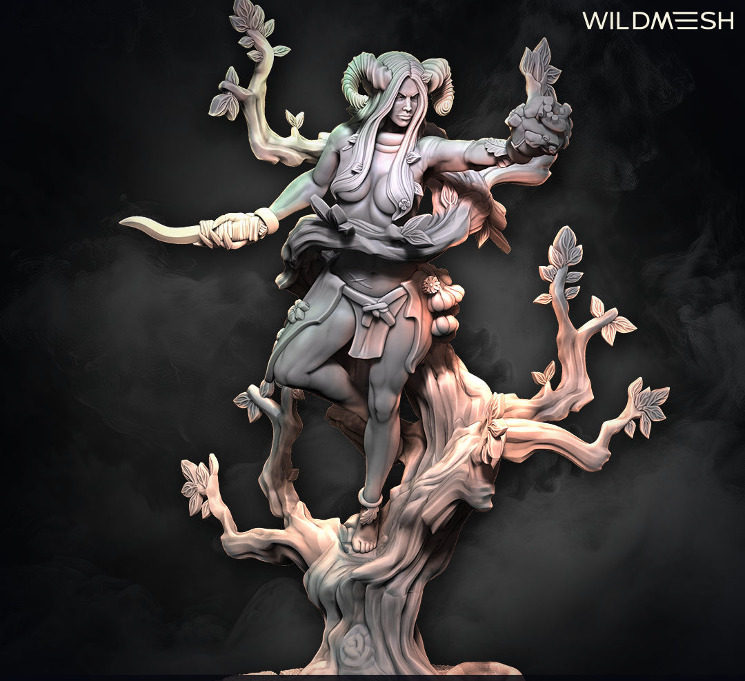 Fantasy: Grimwood Witch
