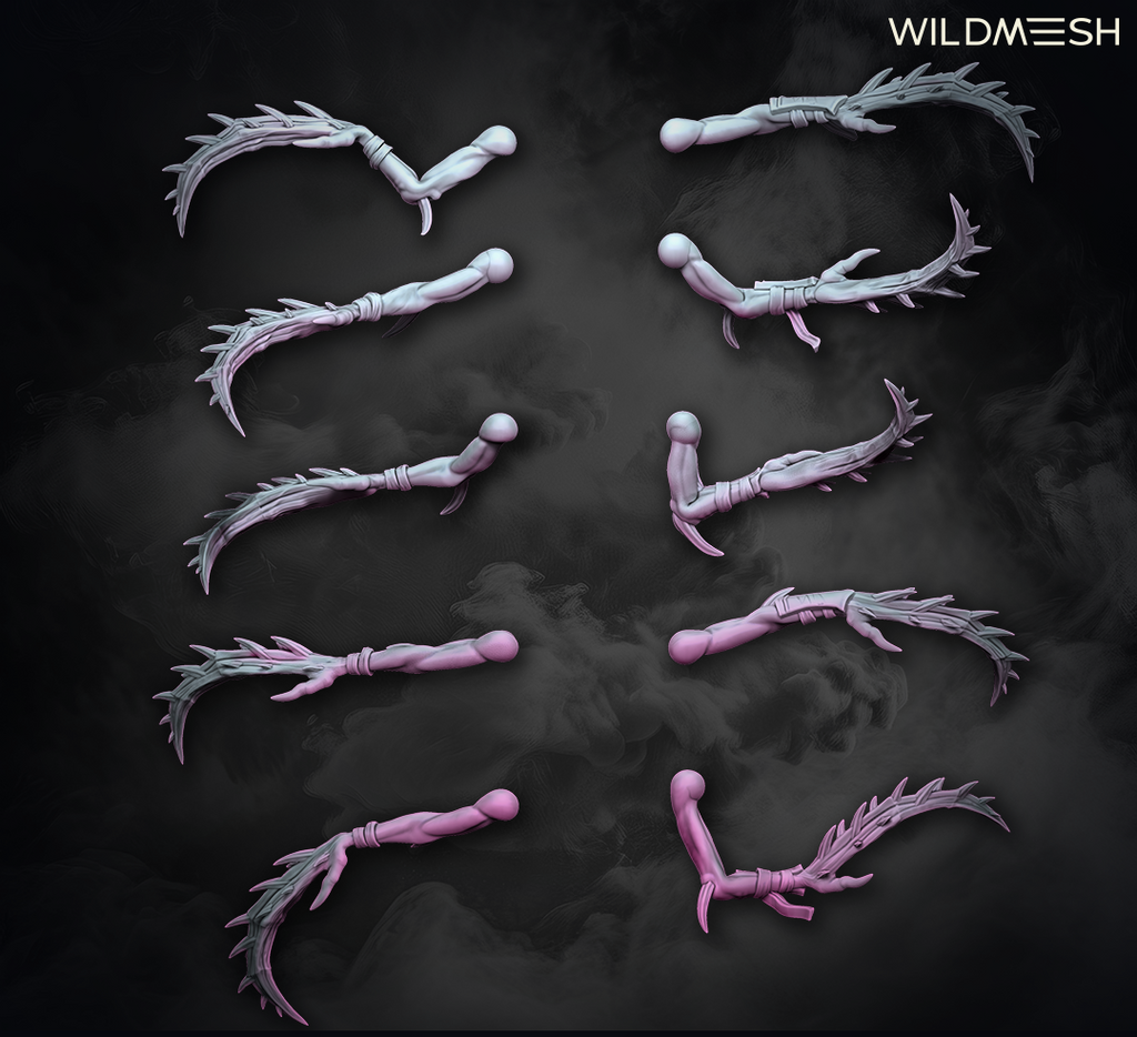 Chaos Excess: Succubus Set II
