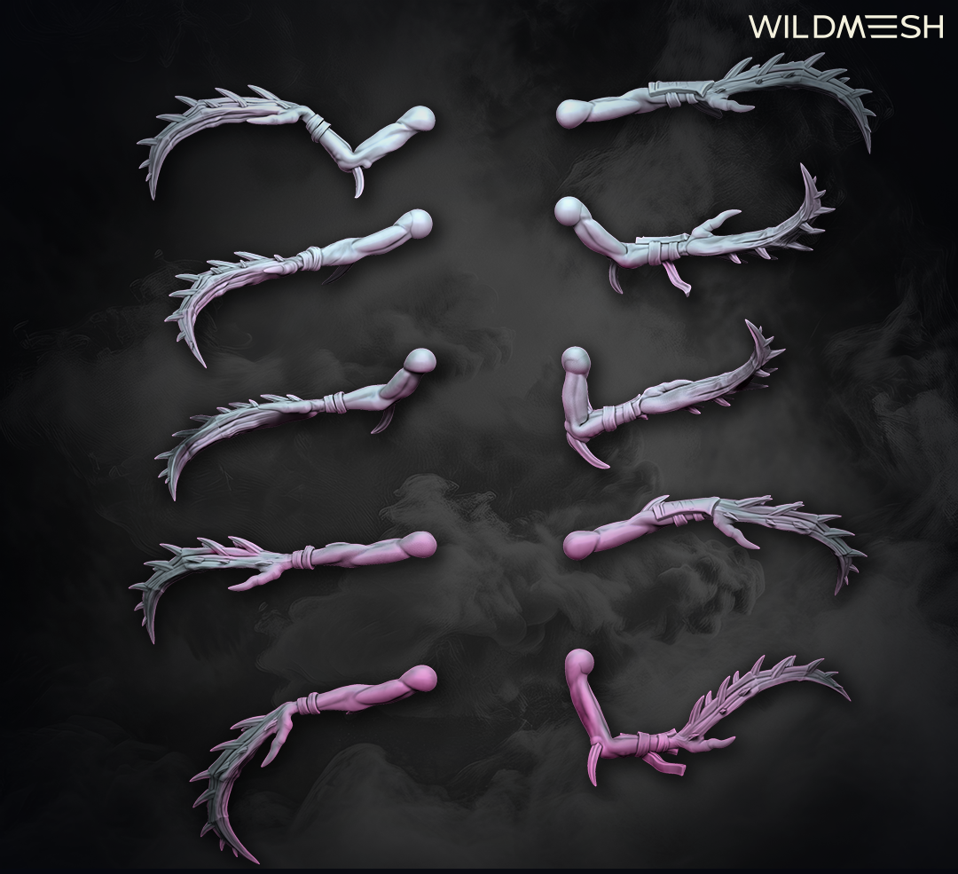 Chaos Excess: Succubus Set II