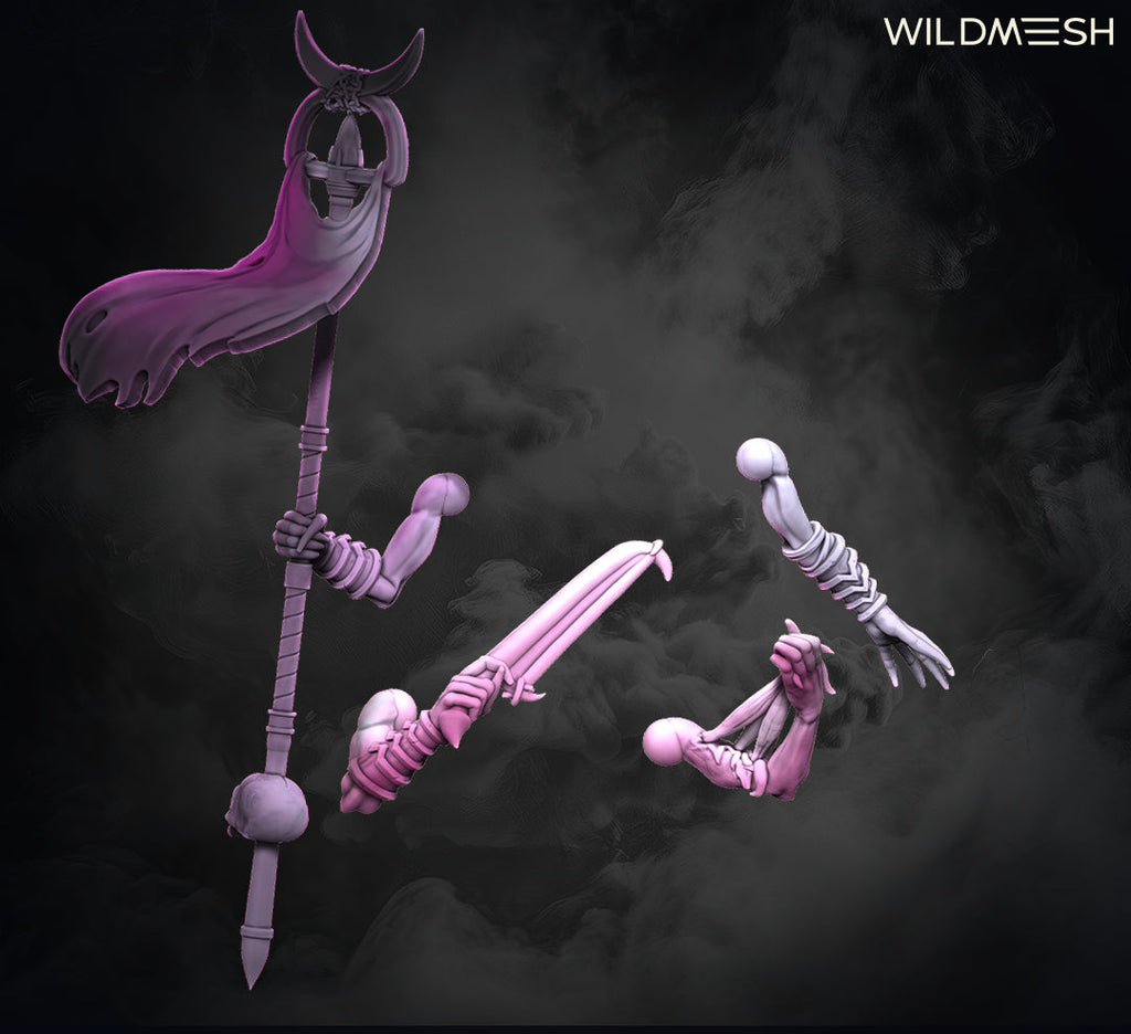 Chaos Excess: Succubus Set I
