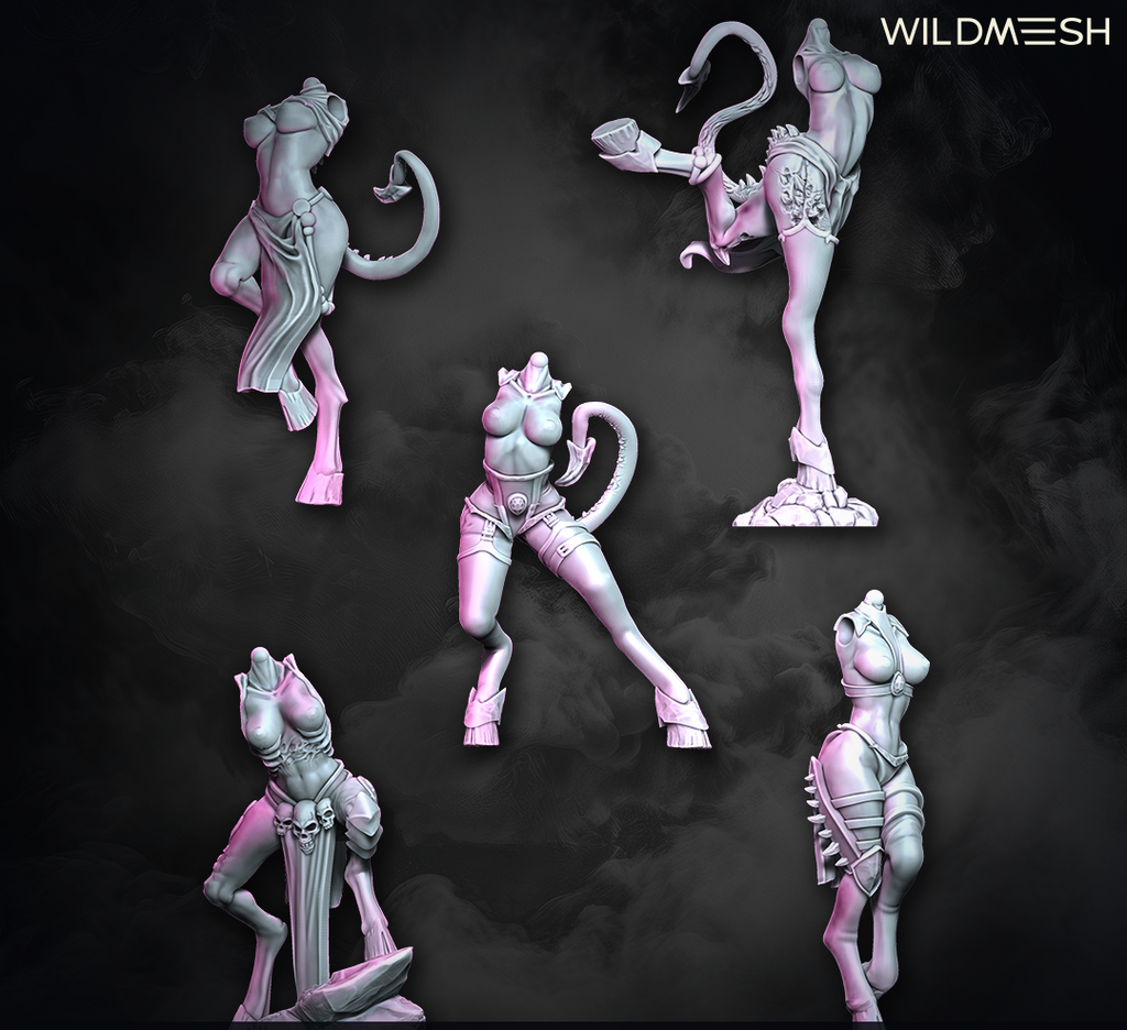 Chaos Excess: Succubus Set II