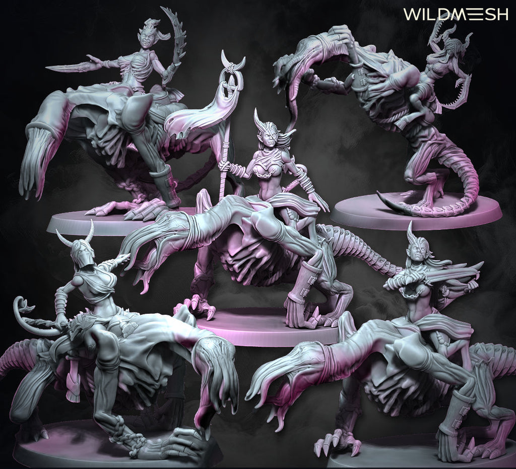 Chaos Excess: Succubus Riders