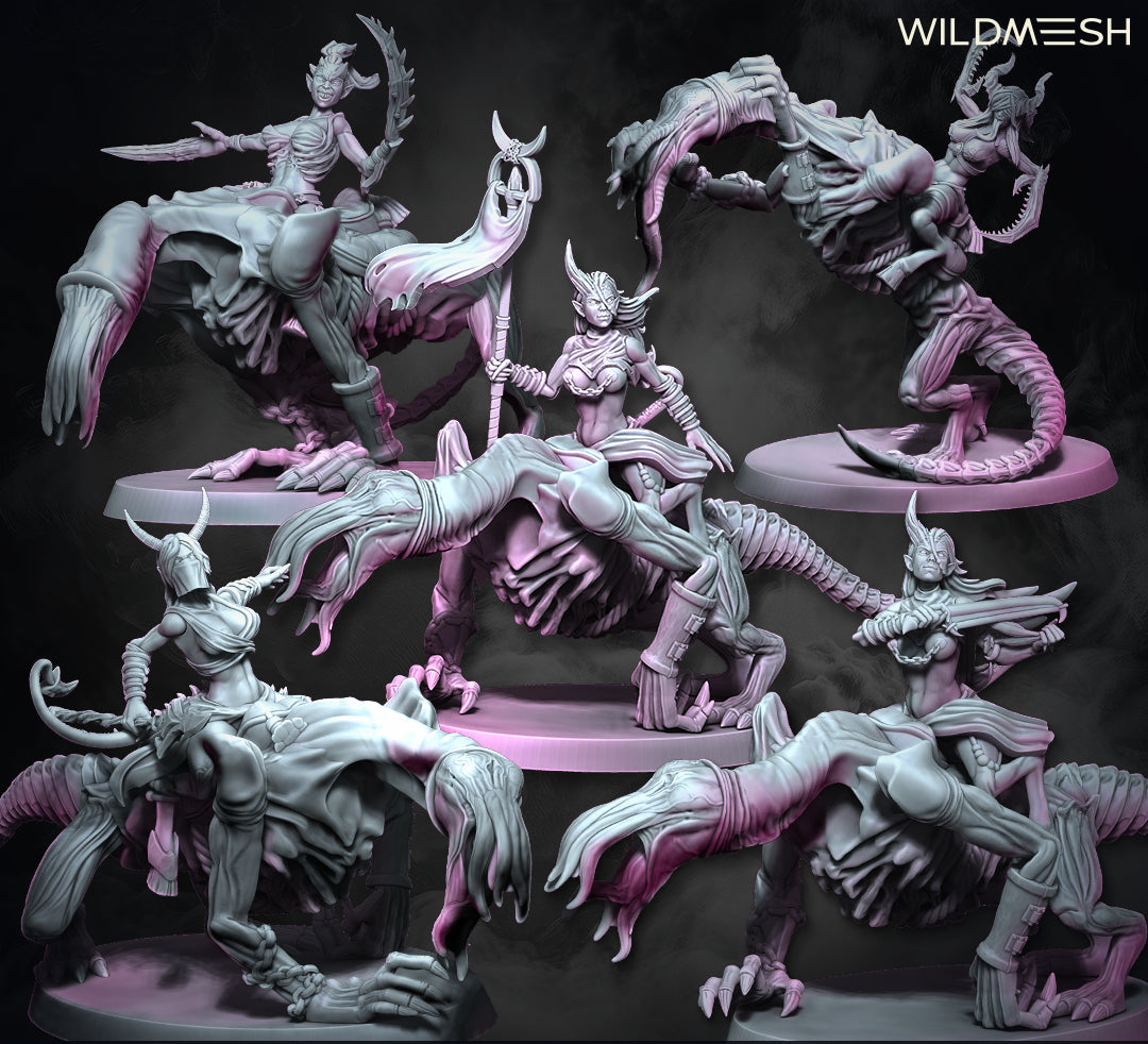 Chaos Excess: Succubus Riders