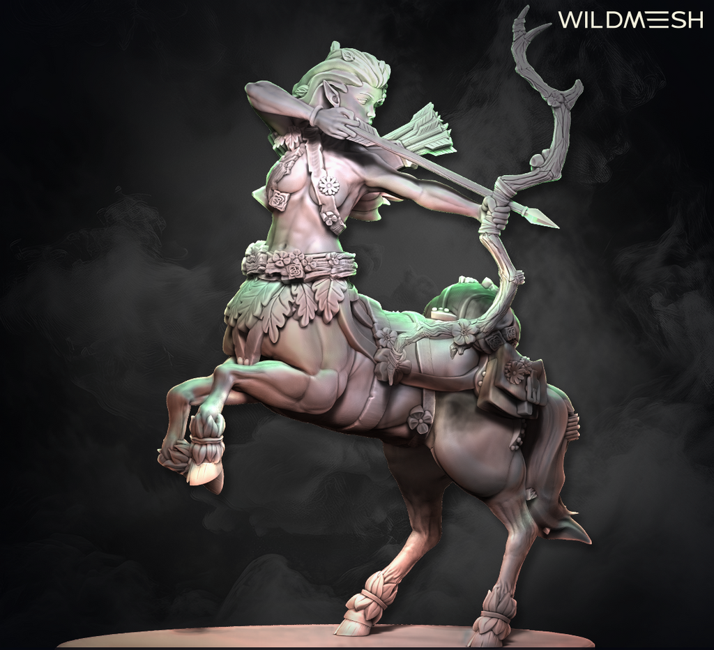 Fantasy: Centaur Archer and Warrior Hero