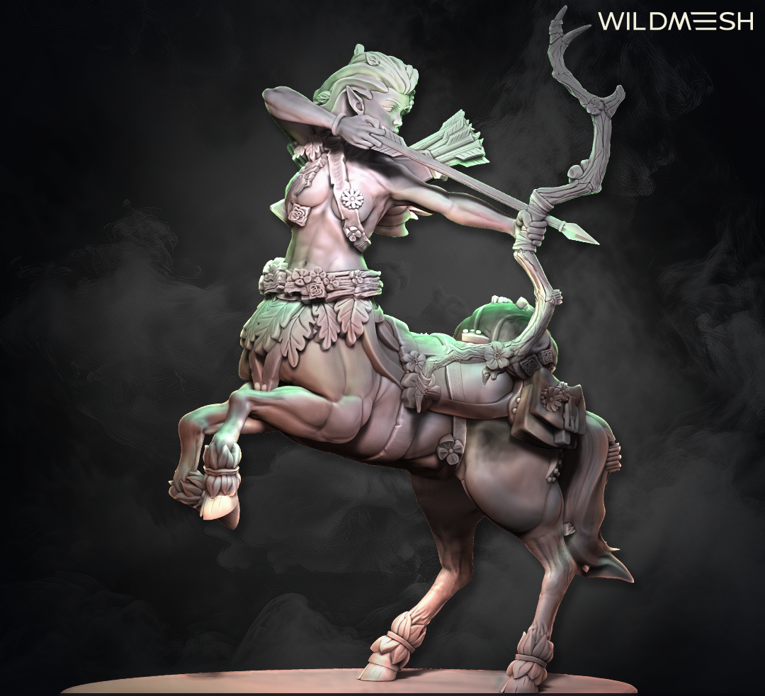 Fantasy: Centaur Archer and Warrior Hero