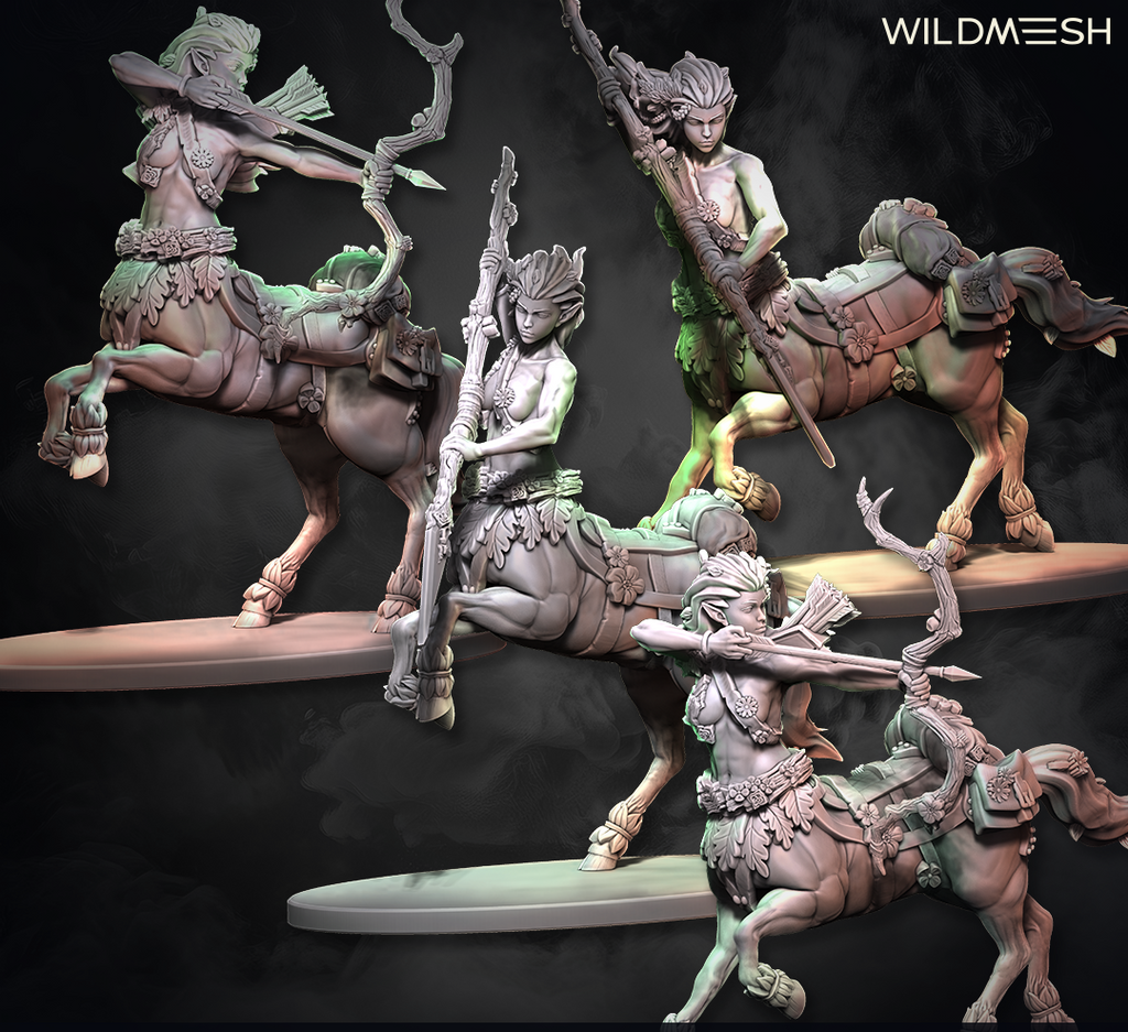 Fantasy: Centaur Archer and Warrior Hero