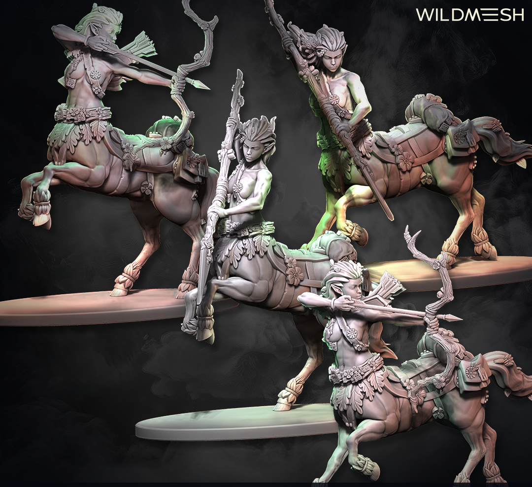 Fantasy: Centaur Archer and Warrior Hero