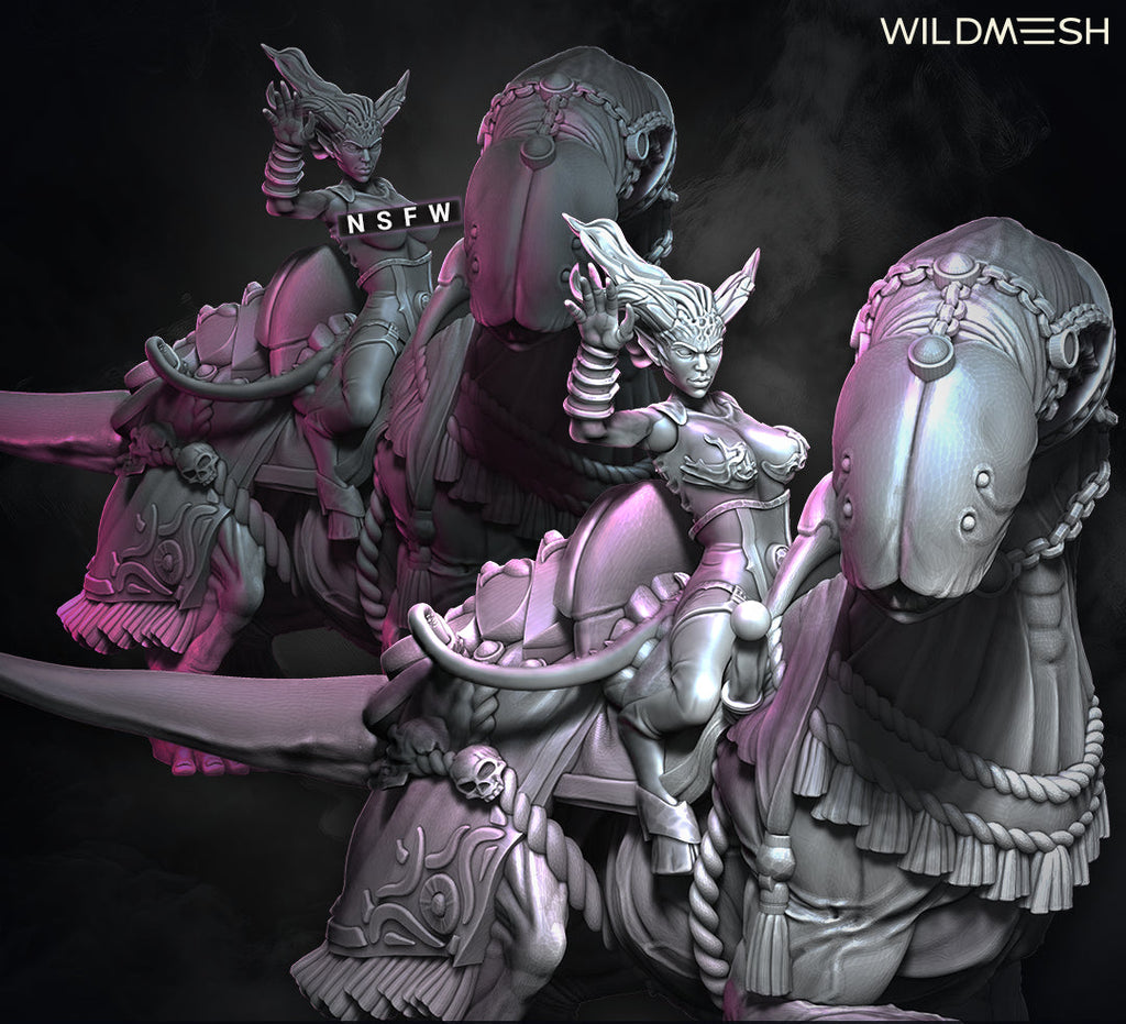 Chaos Excess: Succubus Riders Set II