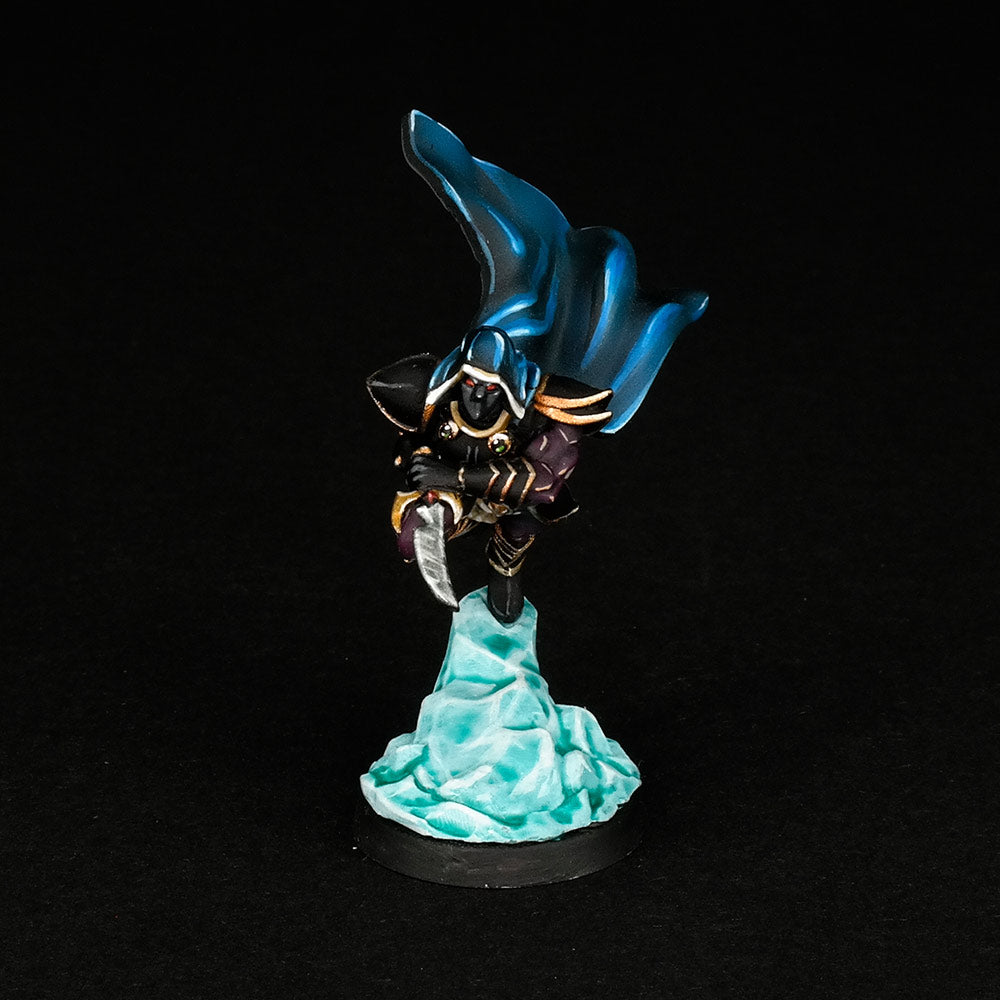 Fantasy: Dark Elf Assassin